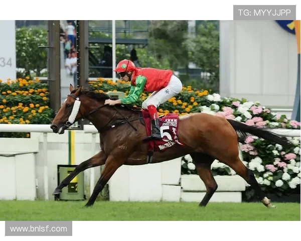 4 岁短途马 “构想所在” 退役，英联邦杯冠军生涯落幕